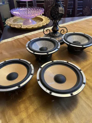 High end car audio