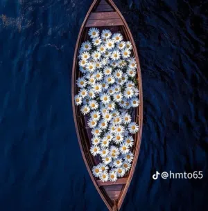 Mohammed 