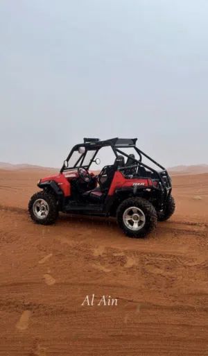 Polaris 800 rzr 2008