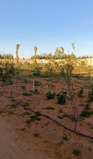 Mixed Use Land for Sale in Tripoli Wadi Al-Rabi