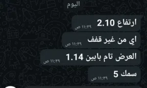 باب لوح خارجي نظيف لوح اصلي