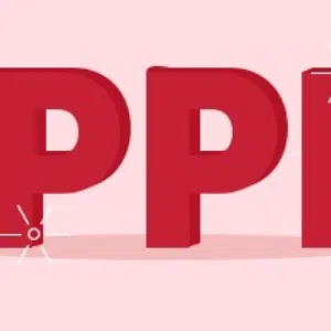 PPI Team 