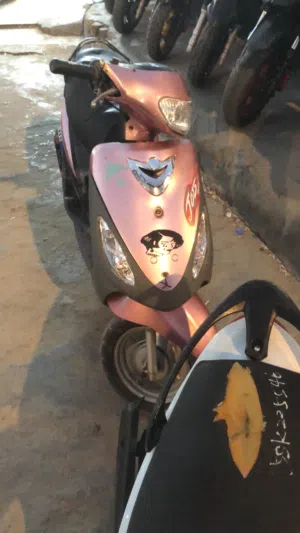 دراجة ماكس ثعلب