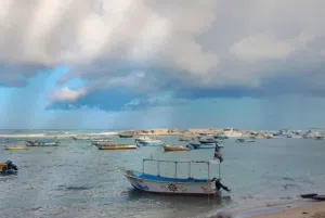 محمد ابراهيم 