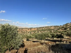 Farm Land for Sale in Zarqa Al-Alouk