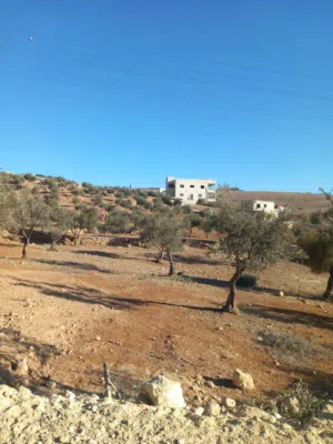 Mixed Use Land for Sale in Zarqa Um Rummanah