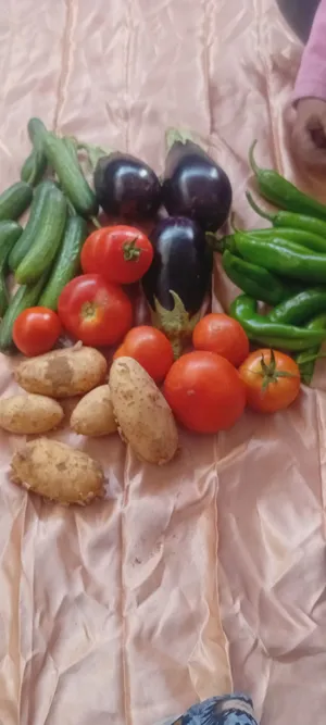 Others - Food - Supplements2