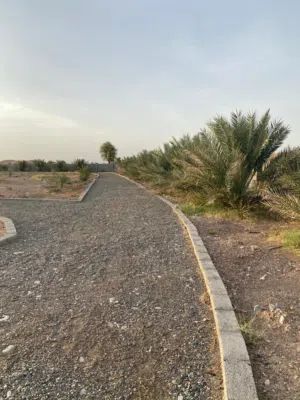للبيع مزرعه في الدوح ولاية سناو بسعر مناسب جداً