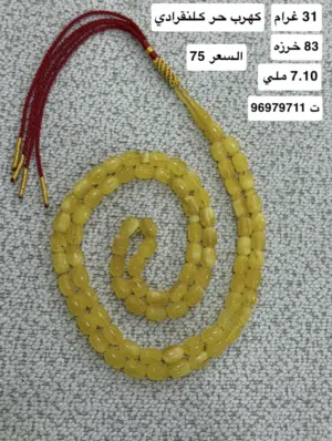 للبيع مسباحين كهرب حر كلنقرادي