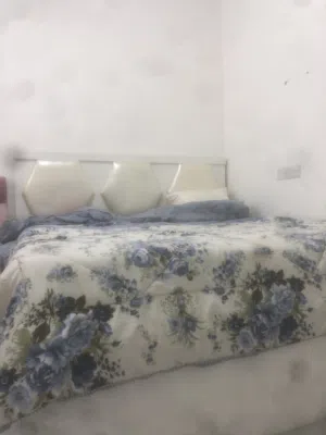600 m2 1 Bedroom Apartments for Rent in Al Batinah Saham