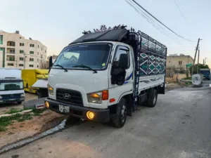 مطلوب ديانا نظيفه للبيع