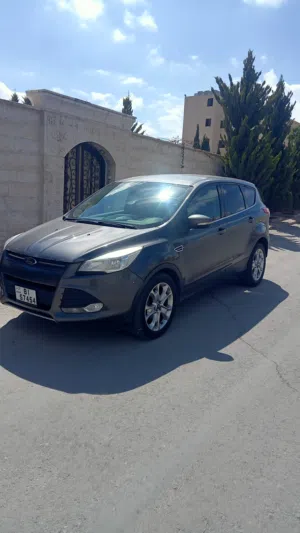 Used Ford Escape in Amman