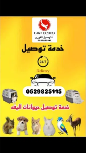 خدمة توصيل جميع انواع الحيوانات                         " توصيل آمن وسريع "