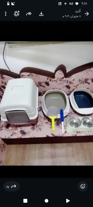 اكسسوارات قطط