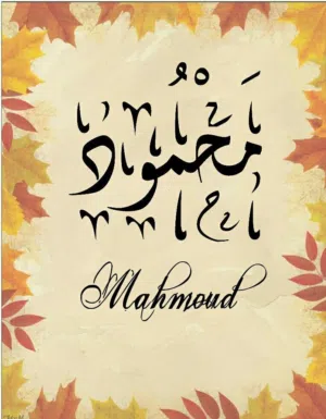 Mahmoud Mohamed