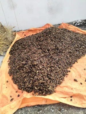 نفيعه خياطه متروسات فول