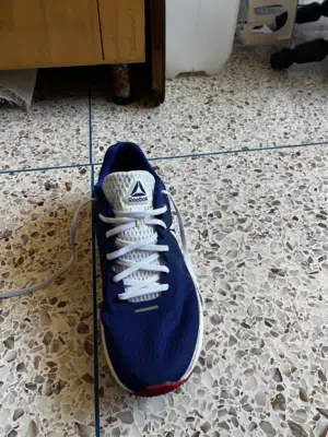 Reebok  roade flite energy