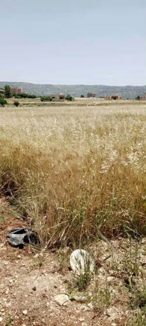 Mixed Use Land for Sale in Salt Al Subeihi