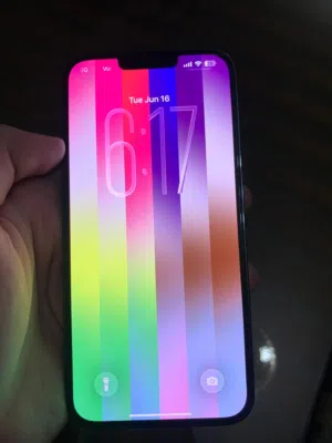 Apple iPhone 13 Pro Max 256 GB in Cairo