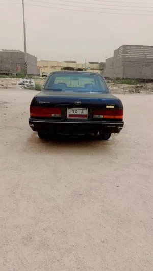 ارنب ابتر 1994