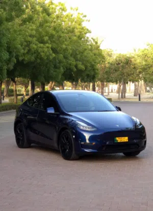 Used Tesla Model Y in Muscat