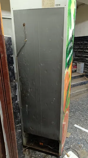 تلاجه شغاله ربي بارك