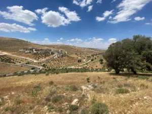Mixed Use Land for Sale in Zarqa Um Rummanah