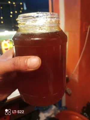عسل علب سدر 100٪