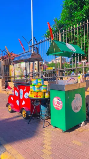 عربايت ضرا وبطاطا للبيع المستعجل