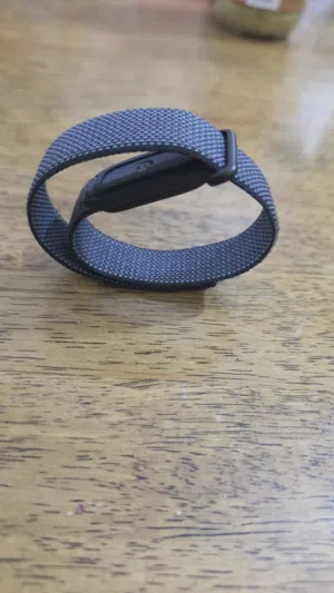 Google Fitbit air