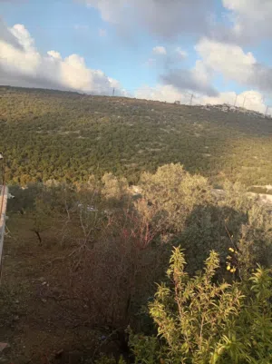4 Bedrooms Farms for Sale in Ajloun Other