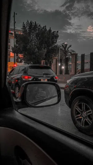 محمد العامري 