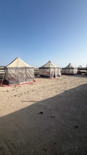 اغراض مخيم للبيع بالكامل