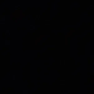 لا اله الا الله محمد رسول الله 