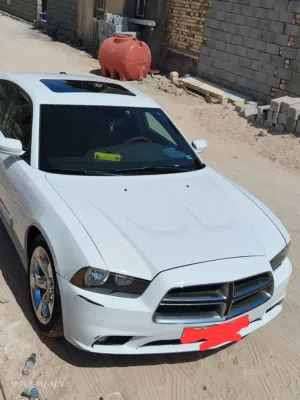 الشايب 