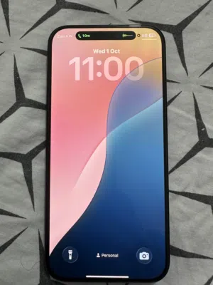iPhone 16 Pro Max 256 GB