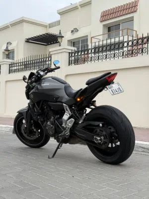 Yamaha Mt 07 with Akrapovic exhaust system