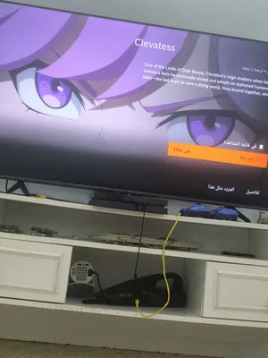 TCL . Smart . 55 Inch1