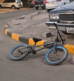 bmx rock hammer new tires 30 kd negotiable
