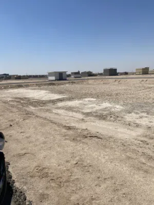 قطعة ارض أصولي