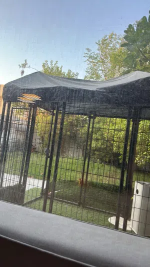 Outdoor catio for cats or dogs