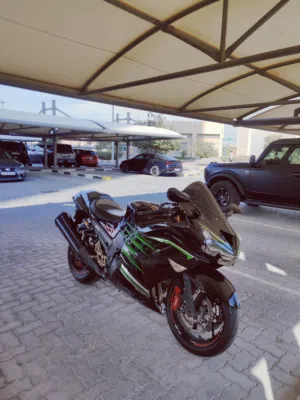 2015 Ninja ZX14R