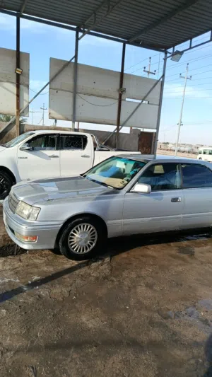 راس الثور مكفولة