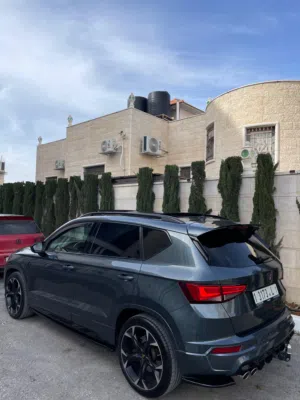 سيات كوبرا 2019 للبيع