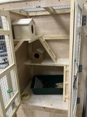 بيت شنشيلا و أرانب chinchilla and rabbit house