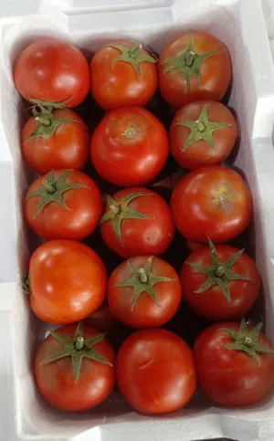 We Provide Fruits and Vegetables