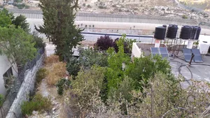 ‏سكنية ‏.‏ 1170 دونم ‏.‏ الوسيط‏0
