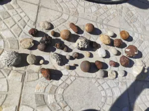 أحجار كريمة نادرة وحفريات جميلة جدًا