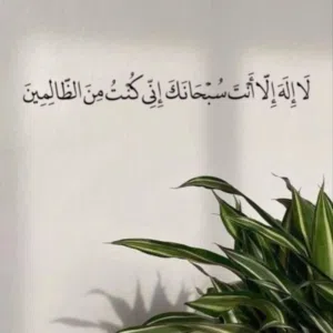 Mohamed Mahmoud 