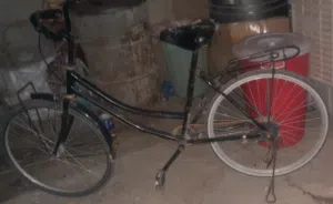 اسم الأعلان باسكل حجم 24
